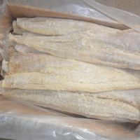 Best Alaskan Pollock, Bulk Alaskan Pollock