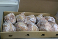 Halal Frozen  Whole Chicken /Grade A Chicken Feet / Frozen Chicken Paws Brazil/CHicken Wings