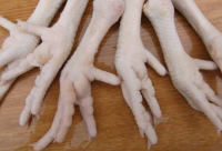 Grade A Chicken Feet / Frozen Chicken Paws Brazil/CHicken Wings