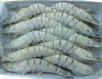 THE BEST PRICE FOR FROZEN BLACK TIGER SHRIMP/ WHITE SHRIMP WITH HIGH QUALITY & THE BEST PRICE