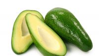 Fresh Avocado supplier looking for buyers