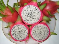 red/white dragon fruit supplier looking for buyers