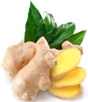 GINGER EXPORTER