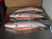 WHOLESALE FROZEN ATLANTIC MACKEREL