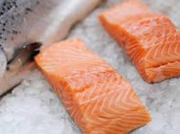 frozen salmon fish