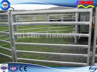 Farm Equipment Hot DIP Galvanized Cattle Headlock/Panel (FLM-F-006)