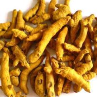 Sell Turmeric Finger