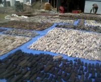 Dried Sea Cucumber for sale