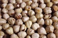 Hazelnuts, Blanched Hazelnuts, Hazelnuts Inshell & Kernels, Organic Hazel Nuts, 