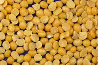 Whole Yellow Peas