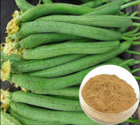 Top Quality pure natural luffa leaf extract