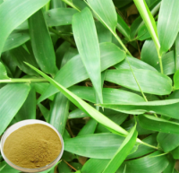 Pure natural bamboo leaf extract