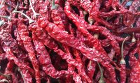 Dried Chilli red chilli