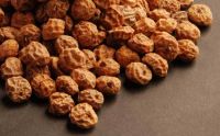 Fresh Tiger Nuts, Dried Tiger Nuts, Tigernuts