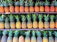 Best Quality Fresh Pineapples at affordable prices.