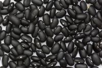 Black Beans Factory -Best Quality and Price