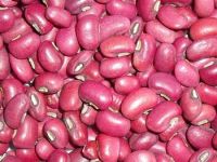 New Crop 2017 red cowpeas