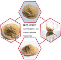 Yeast Powder