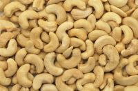 Cashew fruits Raw Cashew nuts For Wholesale