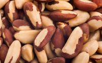 Raw Brazil nuts For wholesale unsalted nuts salted nuts
