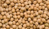 Dried Chick Peas for sale