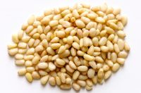 Raw Pine nuts For sale Fast shipment
