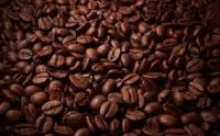 fresh roasted coffee beans Organic coffee beans wholesale