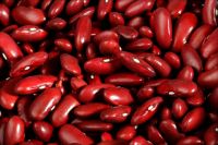Dried red kidney beans wholesale