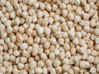 Organic chickpeas For Sale