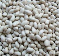 Dried kidney beans white kidney beans