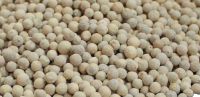 Whole Peppercorns pepper seeds wholesale White Pepper for sale