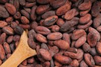 Cocoa nibs Raw Cocoa Beans