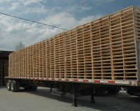 WOODEN PALLETS FOR SALE