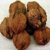 WALNUTS FOR SALE