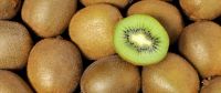 fresh golden kiwi