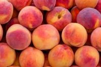 fresh peaches for sale