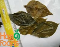 Salted Vietnam Chili Leaves Whole, Slices