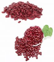 Red kidney beans dried / fresh