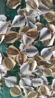 Best quality Dried Yellow Stripe Trevally