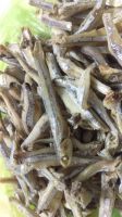 High Quality Dried Anchovy Seafood From Vietnam