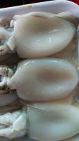 high quality frozen cuttlefish from Vietnam