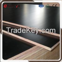 Film Faced Shuttering plywood