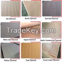 Fancy plywood for Home Interior Furniture