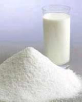 Skim Milk Powder