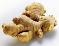 Ginger: Dry and fresh