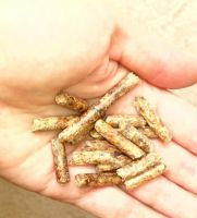 Light wood fuel pellets (Grey A1, A2)