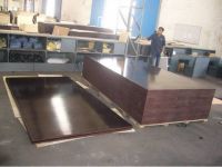 POPULAR FILM FACED PLYWOOD WITH CHEAP PRICE
