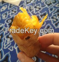 Honey Sweet Potatoes \\\"Ubi Cilembu\\\" Indonesia Finest Famous Export