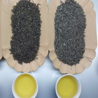 Thai Nguyen Green tea from Vietnam High Quality