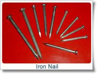 Sell Iron Nails